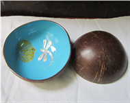 lacquer coconut bowl